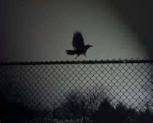 Photo of DevilishAngel