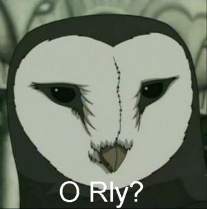Photo of NightOwl