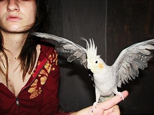 Photo of tessalily