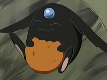Photo of akatori