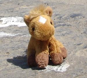 Photo of igorbi