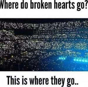 Photo of Directioner