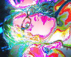 Photo of sheismorphing