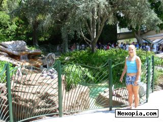 Photo of mellimel