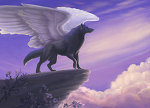 Photo of SwiftShadow