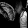 Photo of Brittneylynn12