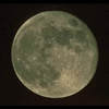 Photo of witchwriter91