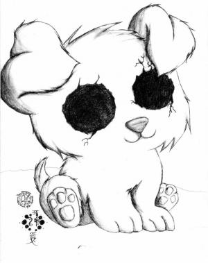 Photo of Aries