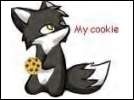 Photo of Damaged Roses