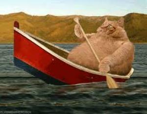 Photo of RowMahBoat