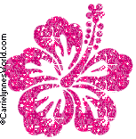 Photo of x-Jammie-x