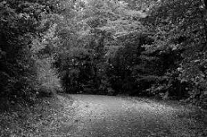 Photo of litpoetry
