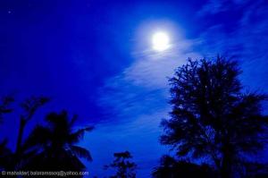Photo of emma1045