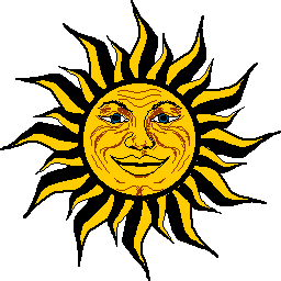 Photo of sunflower