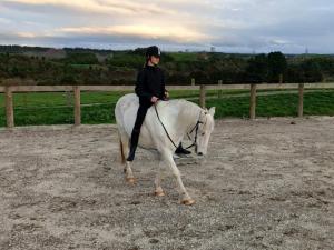 Photo of Horselover1001