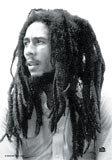 Photo of hippiepin