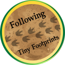 GR Challenge 2024: Follower of Tiny Footprints