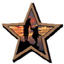 Buddy System Bronze Badge