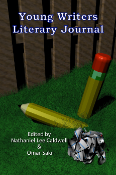2010 Edition