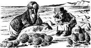 Walrus and the Carpenter