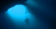 Up From The Deep