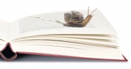 The Art of Slow Reading